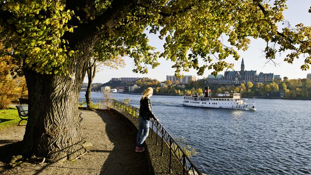 Stockholm - Djurgarden copy