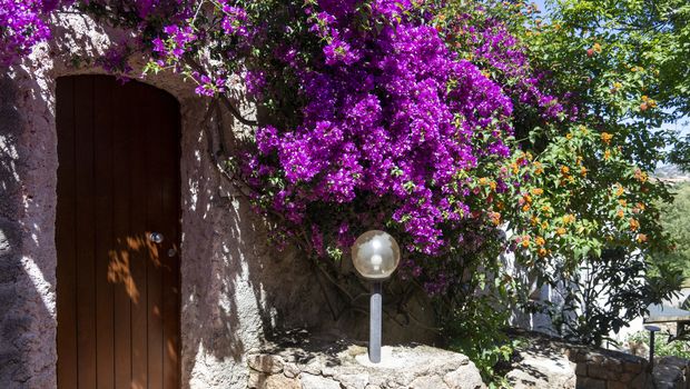 AHR Hotel Altura Porto Rafael, Garten mit Blumen