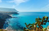 Capo Vaticano Ricardi