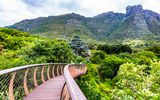 Kirstenbosch National Botanical Garden in Kapstadt