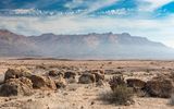 Landschaft am Brandberg, Erongo