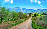 Frühlingslandschaft auf Mallorca
