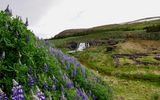 Fossarett Wasserfall in Island