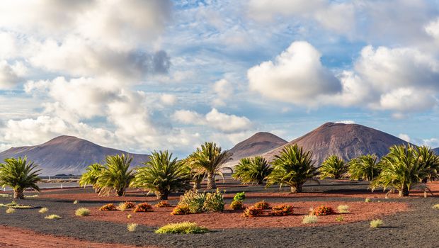 Vulkanberge auf Lanzarote