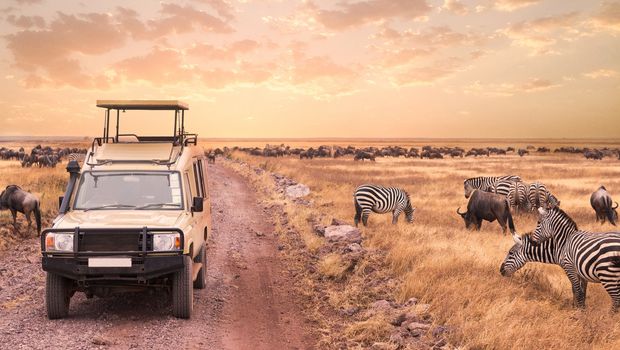 Safari bei Sonnenuntergang