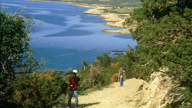 In der Akamas Region