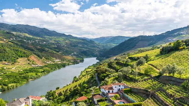 Doura Tal mit Weinbergen