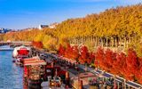 Lyon im Herbst