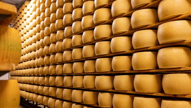 Herstellung von Parmigiano Reggiano