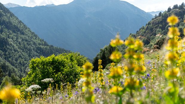 Parc Natural de la Vall de Sorteny